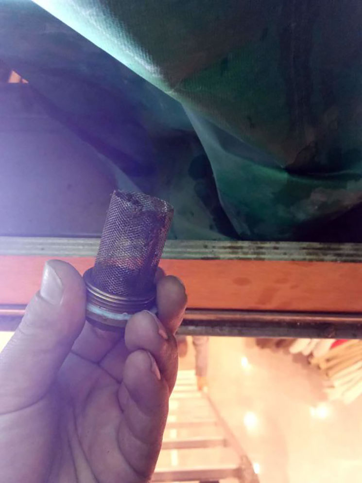 mmexport1491554519075.jpg mmexport1491554519075.jpg